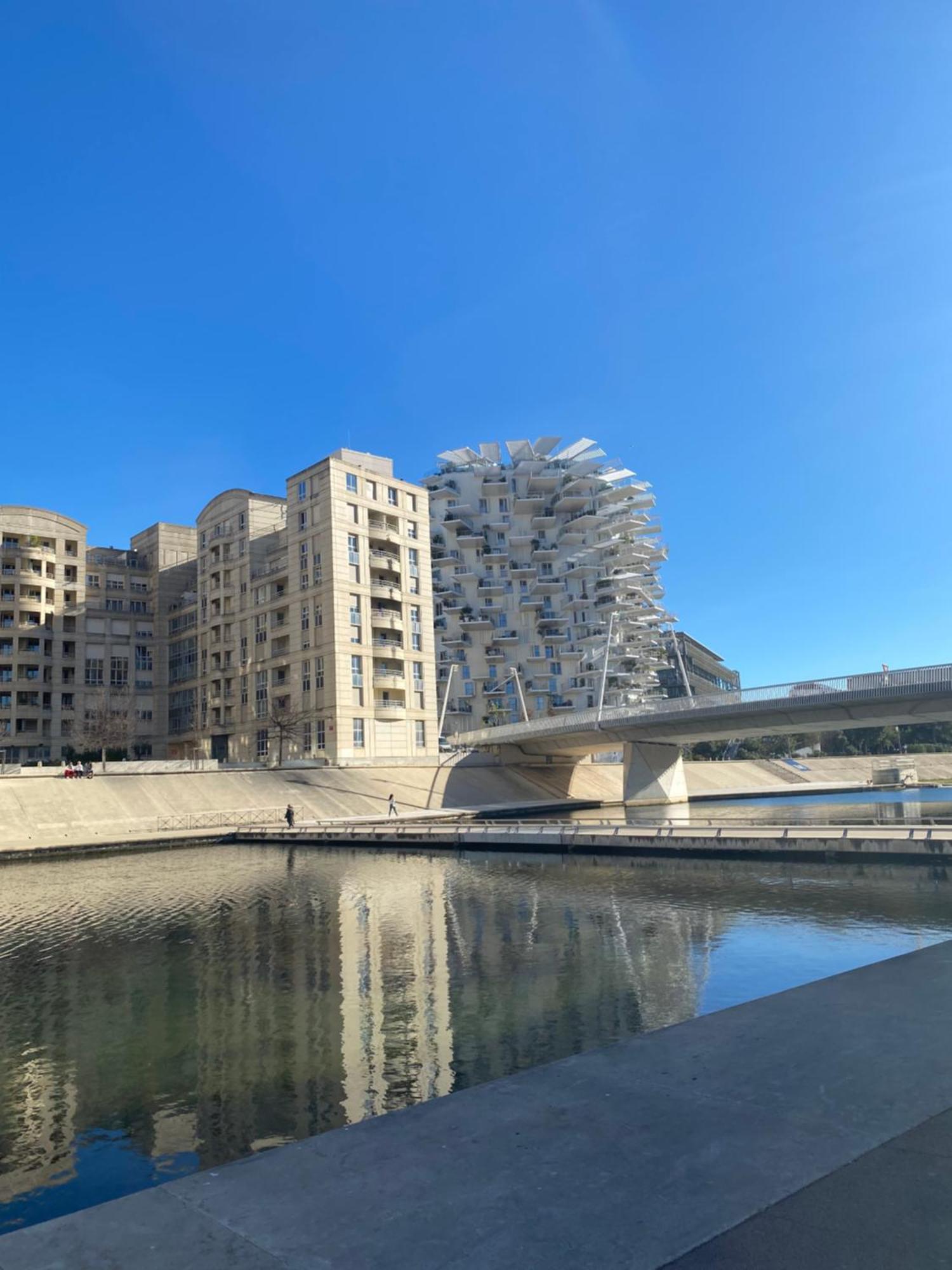 Ferienwohnung Rives Du Lez - Prestige Montpellier Exterior foto